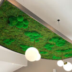 Low level seating area and organic moss ceiling