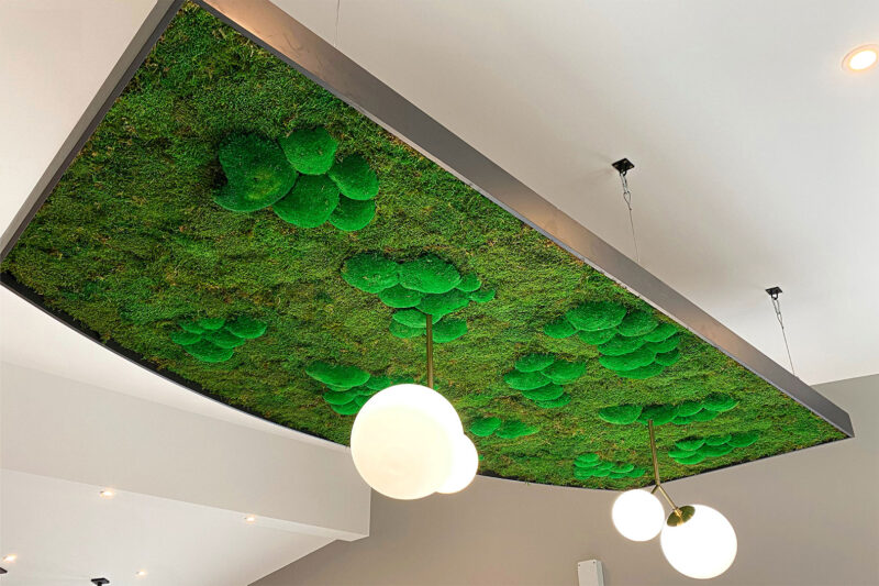 Low level seating area and organic moss ceiling