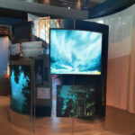 Audio-visual presentation, with high-resolution graphics set within a mirrored wall created